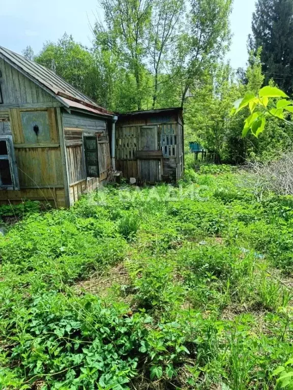 Участок в Новосибирская область, Новосибирск Цветущая Плющиха садовое ... - Фото 0