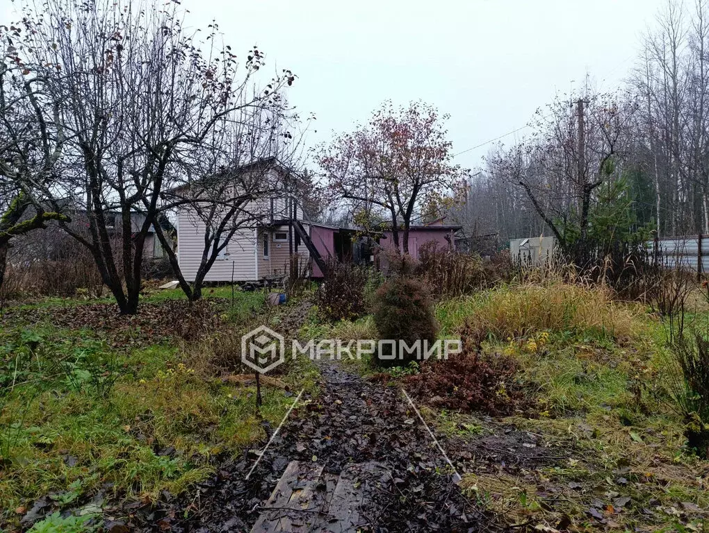 Дом в Лужский район, посёлок Мшинская (40 м) - Фото 2