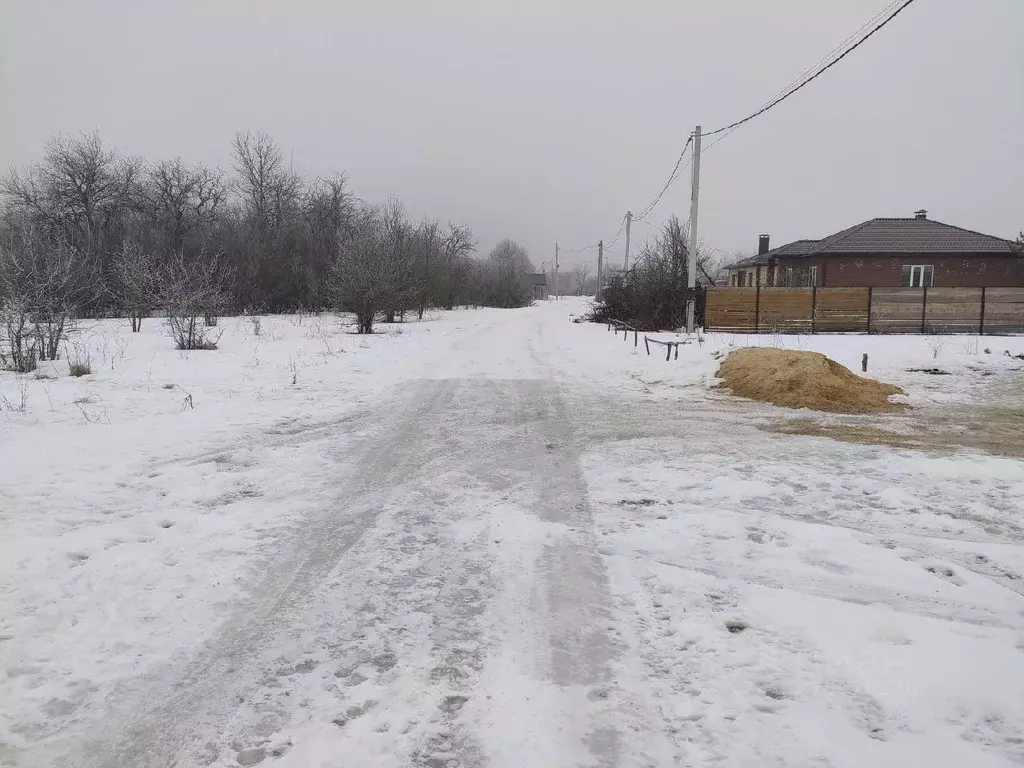 Участок в Воронежская область, с. Новая Усмань ул. Октябрьская, 400/1 ... - Фото 1