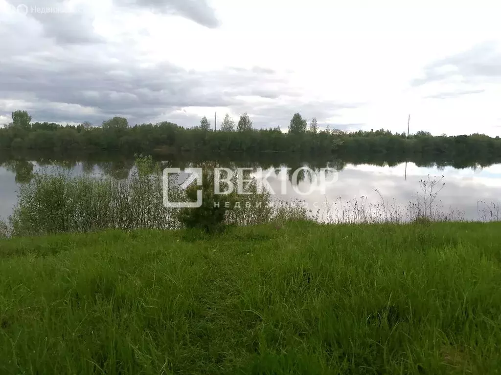 Участок в Кострома, улица Аркадия Жолниренко, 12 (12 м) - Фото 0
