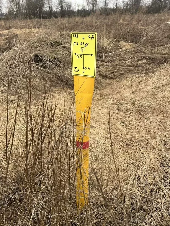 Участок в Ленинградская область, Гатчинский муниципальный округ, пос. ... - Фото 1