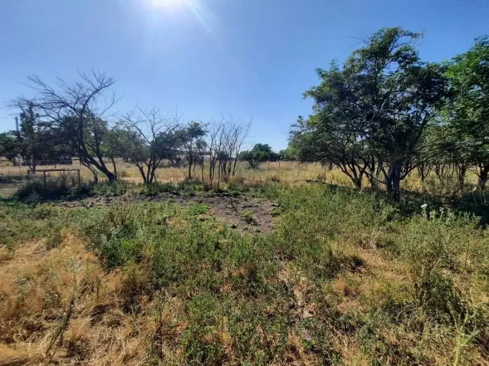 Участок в Ставропольский край, Предгорный муниципальный округ, пос. ... - Фото 2