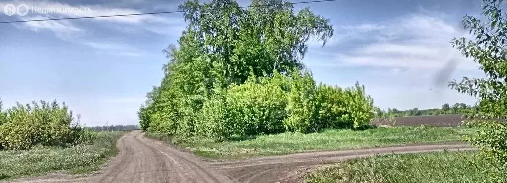 Участок в муниципальный округ Омский район, деревня Ракитинка ... - Фото 2