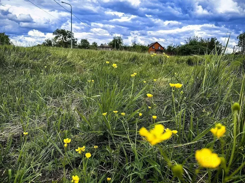 Участок в Ростовская область, Аксайский район, Старочеркасская ст-ца ... - Фото 1