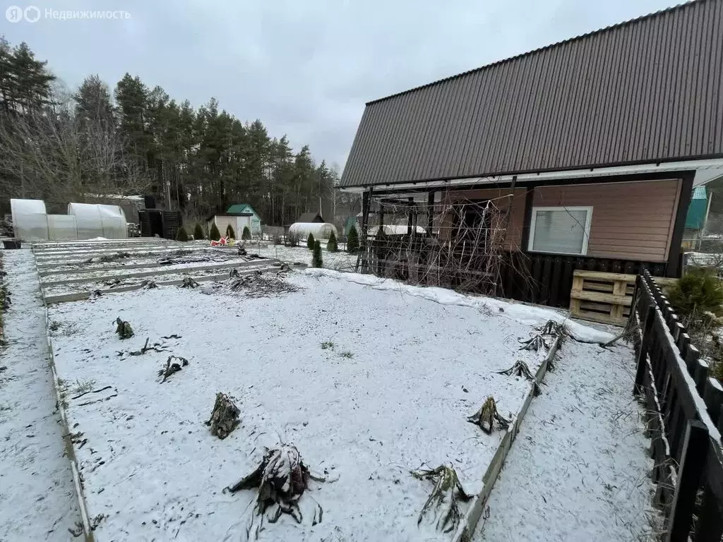 Дом в муниципальное образование Новосельское, СНТ Чернево (29.5 м) - Фото 0