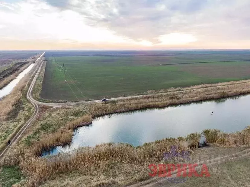 Участок в Краснодарский край, Крымск  (500.0 сот.) - Фото 1