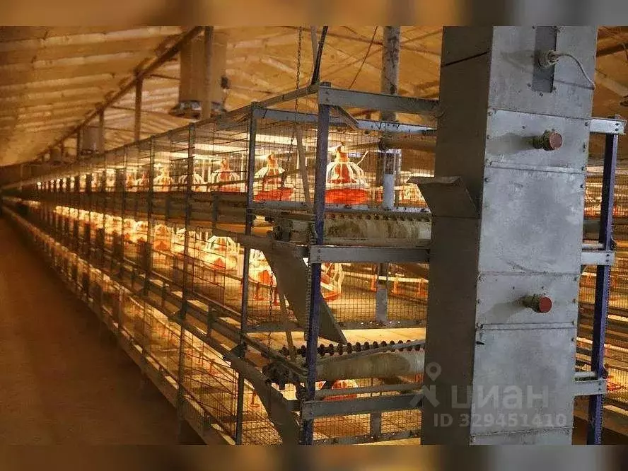 Помещение свободного назначения в Татарстан, Муслюмовский район, ... - Фото 1