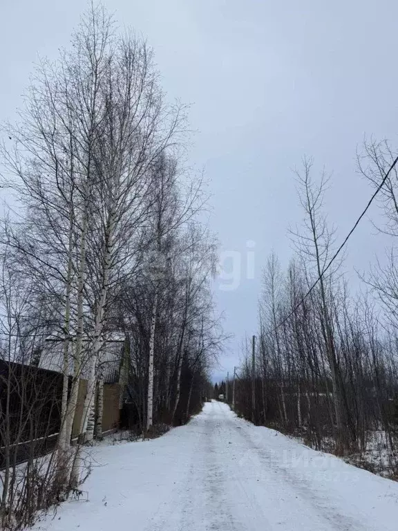 Участок в Ханты-Мансийский АО, Ханты-Мансийск Следопыт СОТ,  (9.1 ... - Фото 0