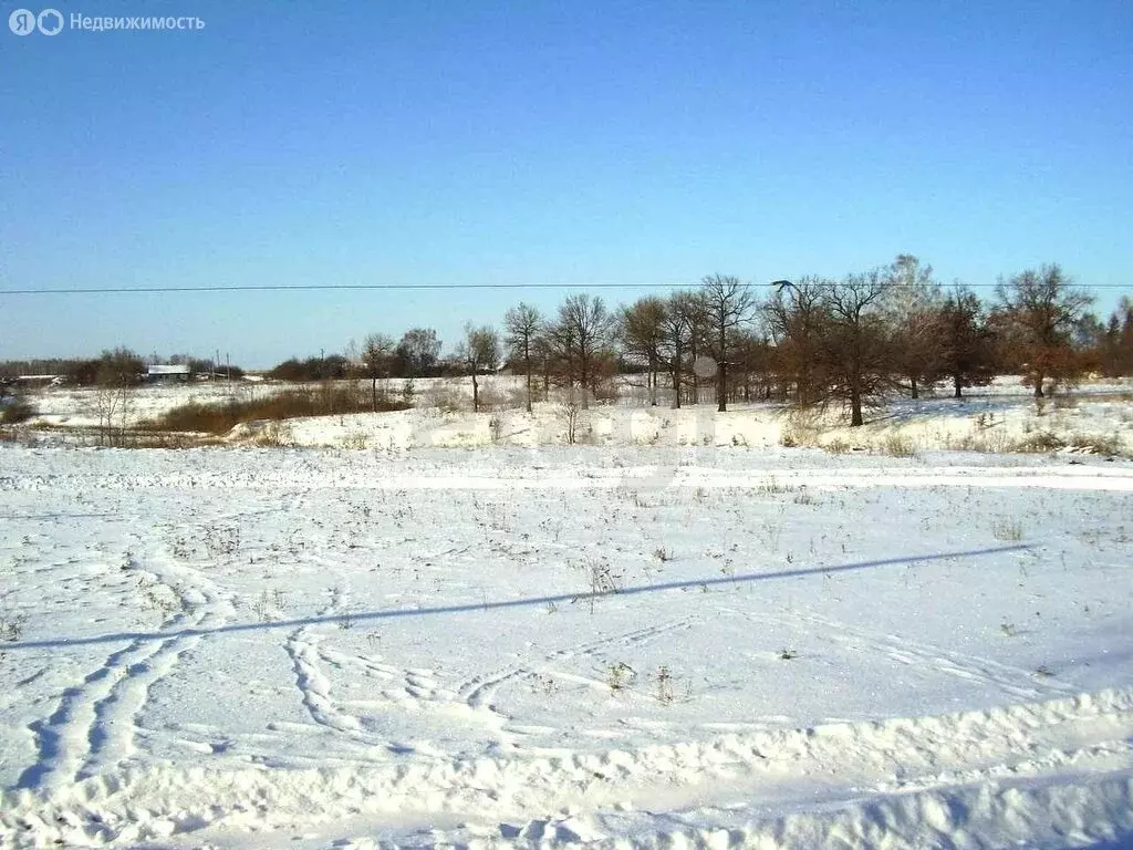 Участок в Брянск, садоводческое товарищество Надежда (6 м) - Фото 1