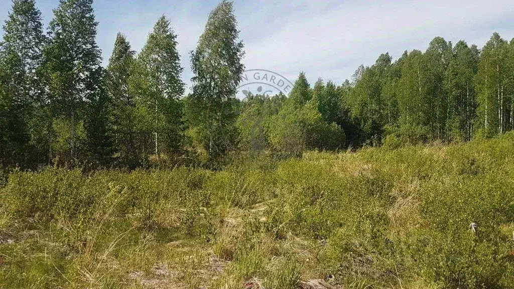 Участок, 2395.6 сот., сельхоз (снт или днп) - Фото 0