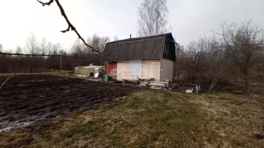 Дом в Псковский район, Тямшанская волость, СНТ Дубинка (30 м) - Фото 1