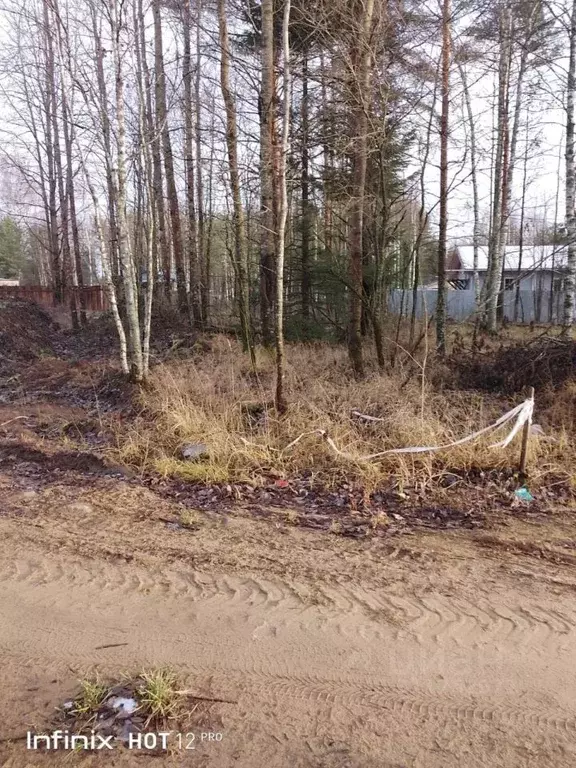 Участок в Ленинградская область, Всеволожское городское поселение, ... - Фото 0