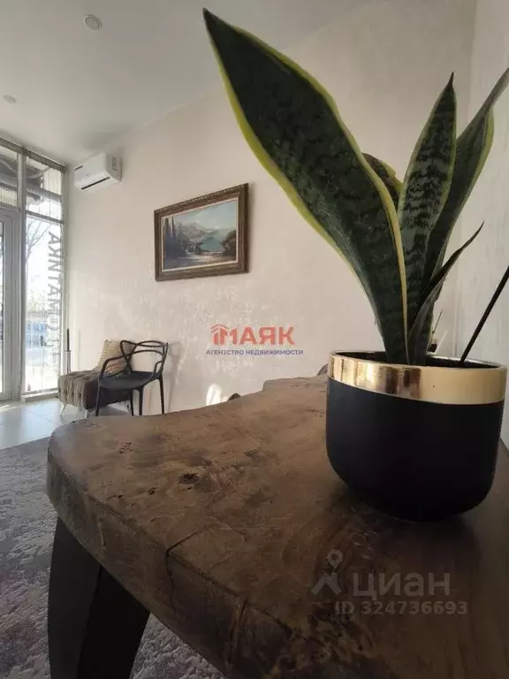 Помещение свободного назначения в Краснодарский край, Анапа Анапское ... - Фото 1