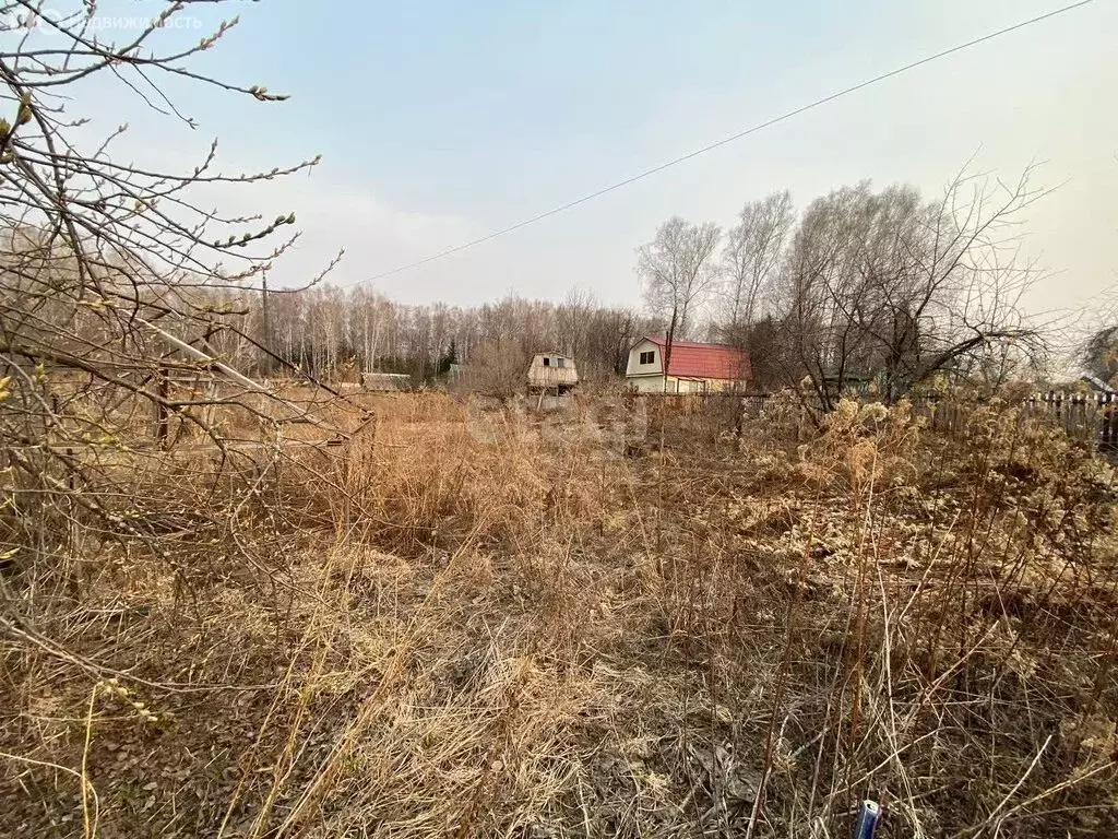 Участок в Барышевский сельсовет, садоводческое некоммерческое ... - Фото 0