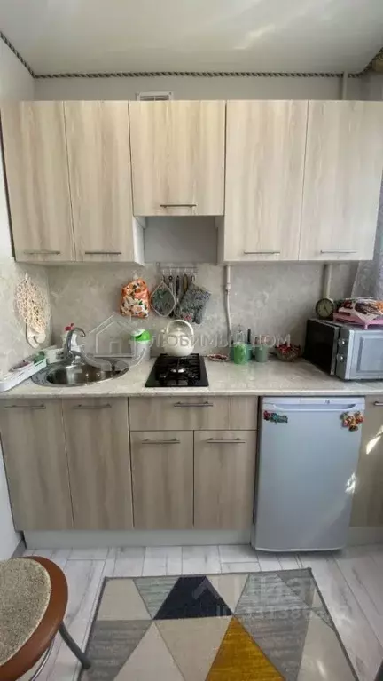 1-к кв. Курганская область, Шадринск ул. Бажова, 24 (22.0 м) - Фото 1