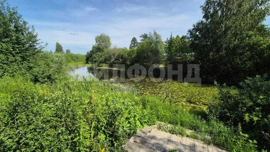 Дом в Новосибирская область, Колыванский район, Электрон СНТ  (164 м) - Фото 2