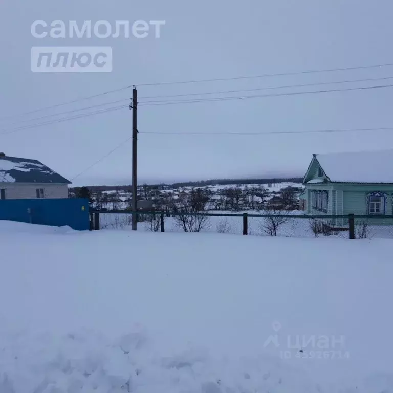 Дом в Татарстан, Тюлячинский район, с. Большие Метески  (43 м) - Фото 0