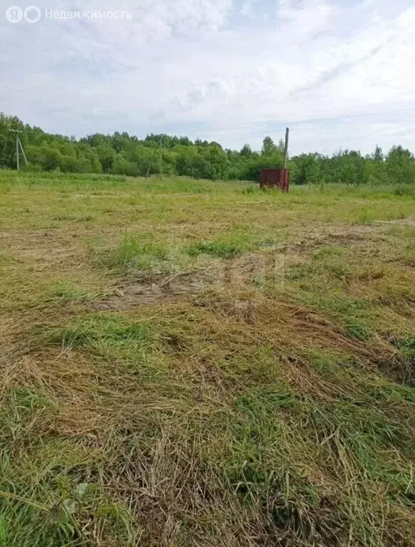 Участок в Архангельская область, Приморский муниципальный округ, ... - Фото 2