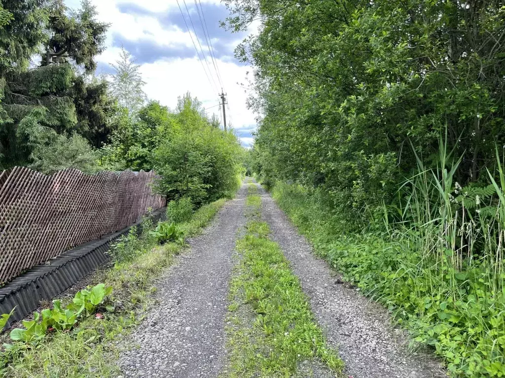 Участок в Ленинградская область, Гатчинский район, Березовая Роща ... - Фото 0