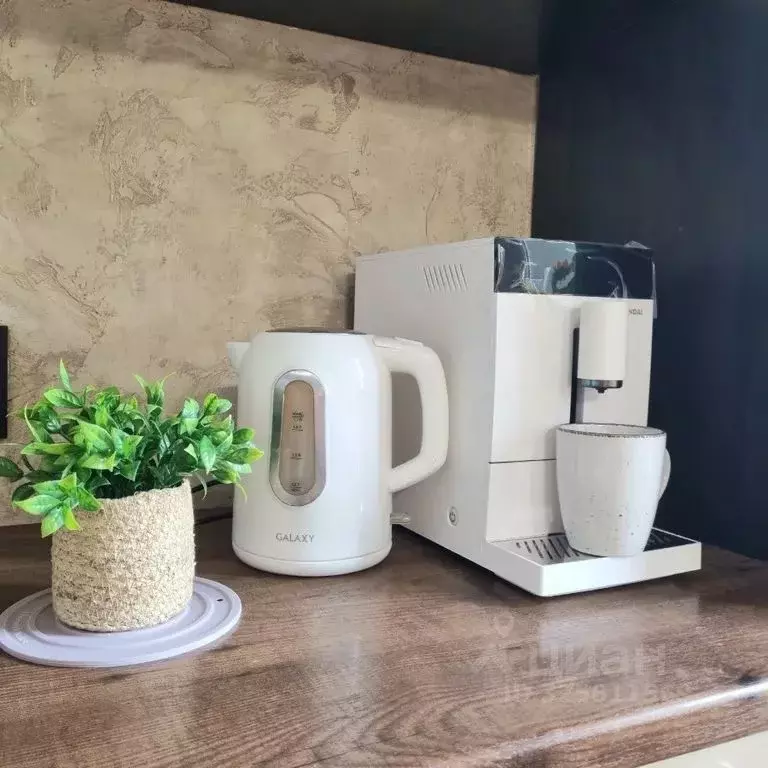 Студия Ленинградская область, Тельмана Тосненский район, ул. ... - Фото 2