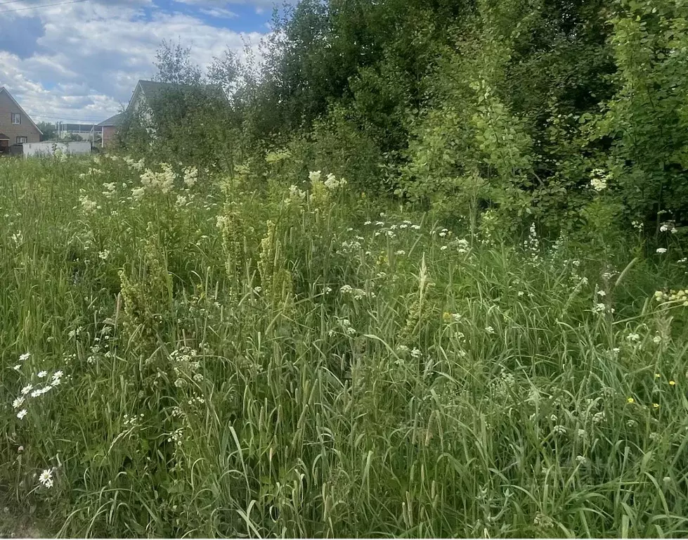 Участок в Московская область, Раменский муниципальный округ, с. Речицы ... - Фото 2