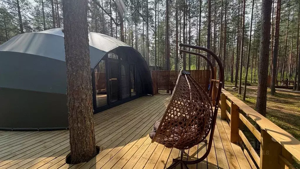 Комната Ленинградская область, Приозерский район, Красноозерное с/пос, ... - Фото 1