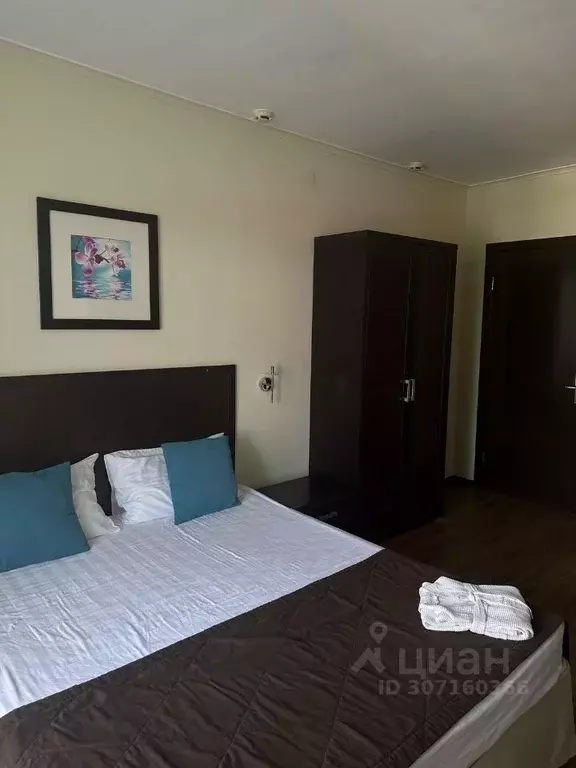 Комната Краснодарский край, Анапа ул. Калинина, 29 (15.0 м) - Фото 0