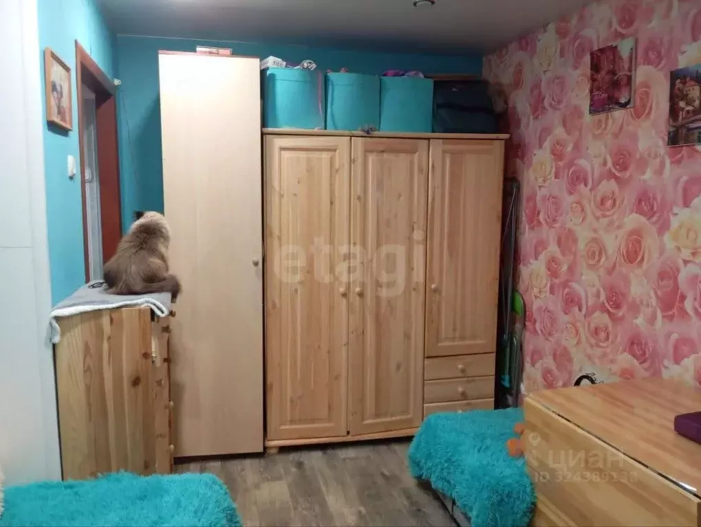 Студия Ярославская область, Ярославль Северный жилрайон, ул. Елены ... - Фото 1