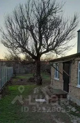 Дом в Краснодарский край, Ейск Орловская ул. (66 м) - Фото 2