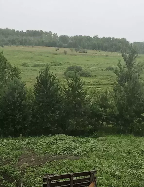 Дом в Новосибирская область, Мошковский район, с. Барлак  (163 м) - Фото 0