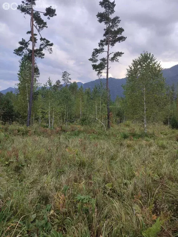 Участок в село Узнезя, Новая улица (12 м) - Фото 2