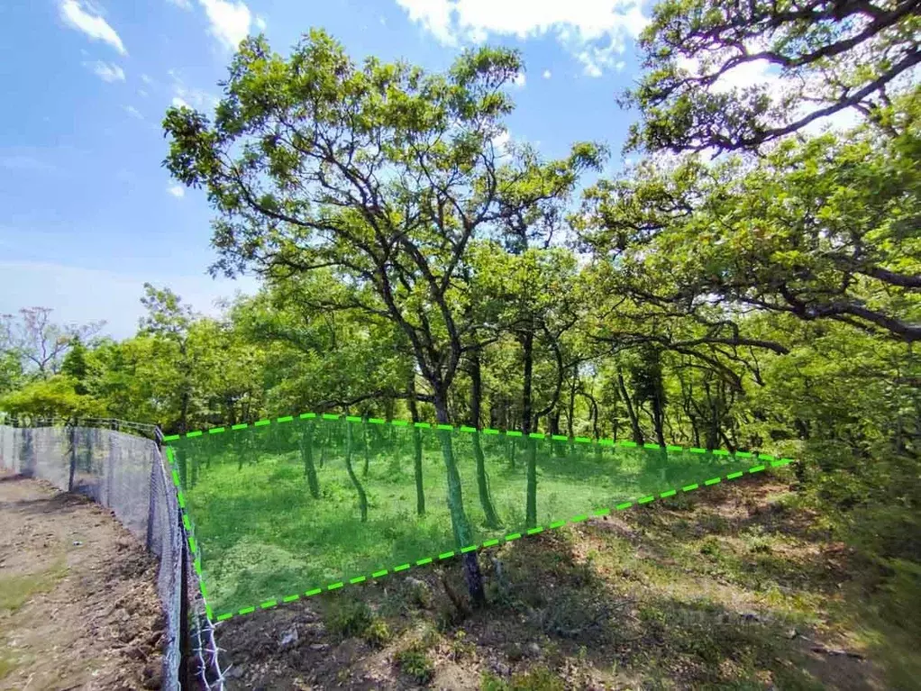 Участок в Крым, Ялта муниципальный округ, Восход пгт ш. ... - Фото 1