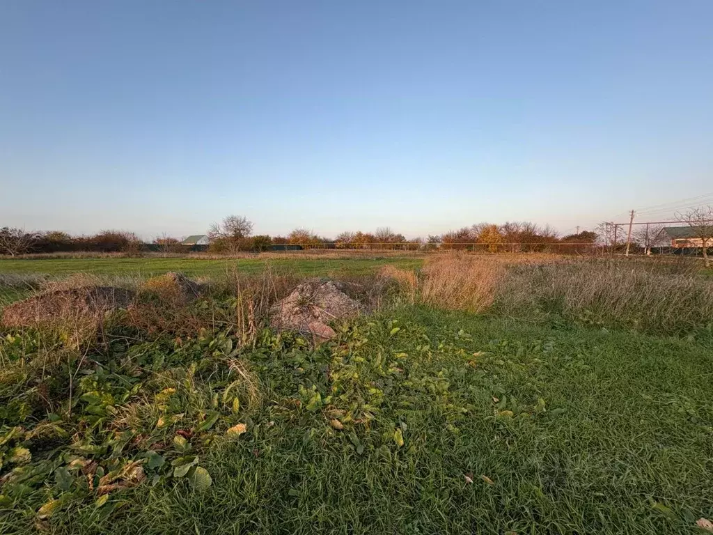 Участок в Краснодарский край, Ейский район, Кухаривское с/пос, с. ... - Фото 1