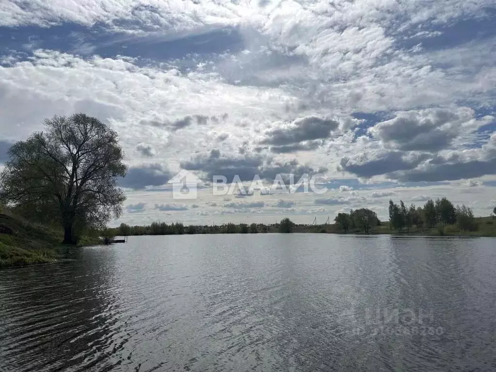 Участок в Владимирская область, Суздальский район, Боголюбовское ... - Фото 1