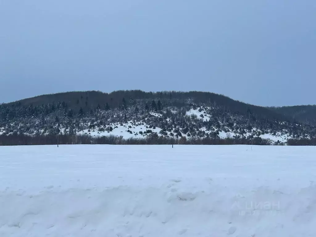 Участок в Кировская область, Вятскополянский район, Среднетойменское ... - Фото 1