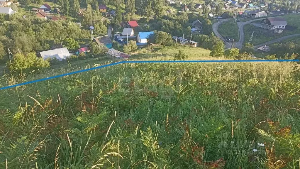 Участок в Алтай, Майминский район, с. Кызыл-Озек ул. Ануйская, 1 ... - Фото 1