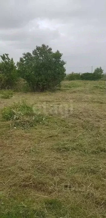 Участок в Ставропольский край, Ставрополь Зорька садовое товарищество, ... - Фото 2