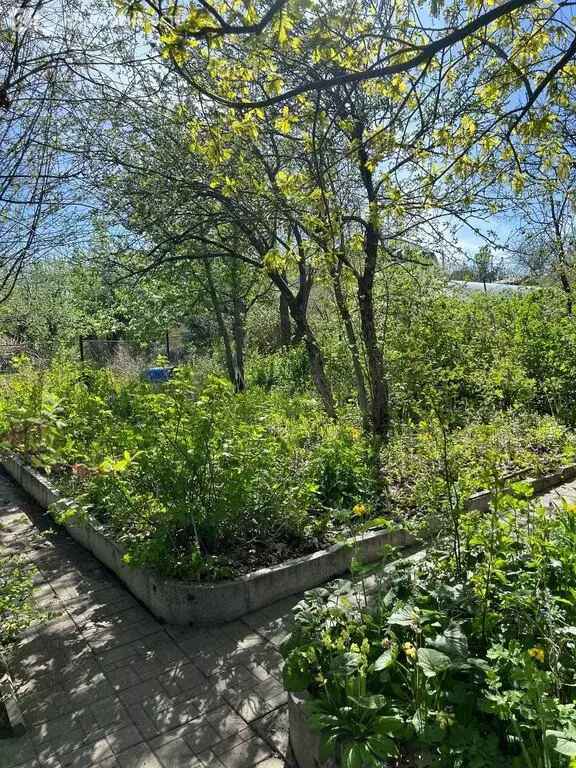 Дом в Челябинск, СНТ Колющенец (48 м) - Фото 0
