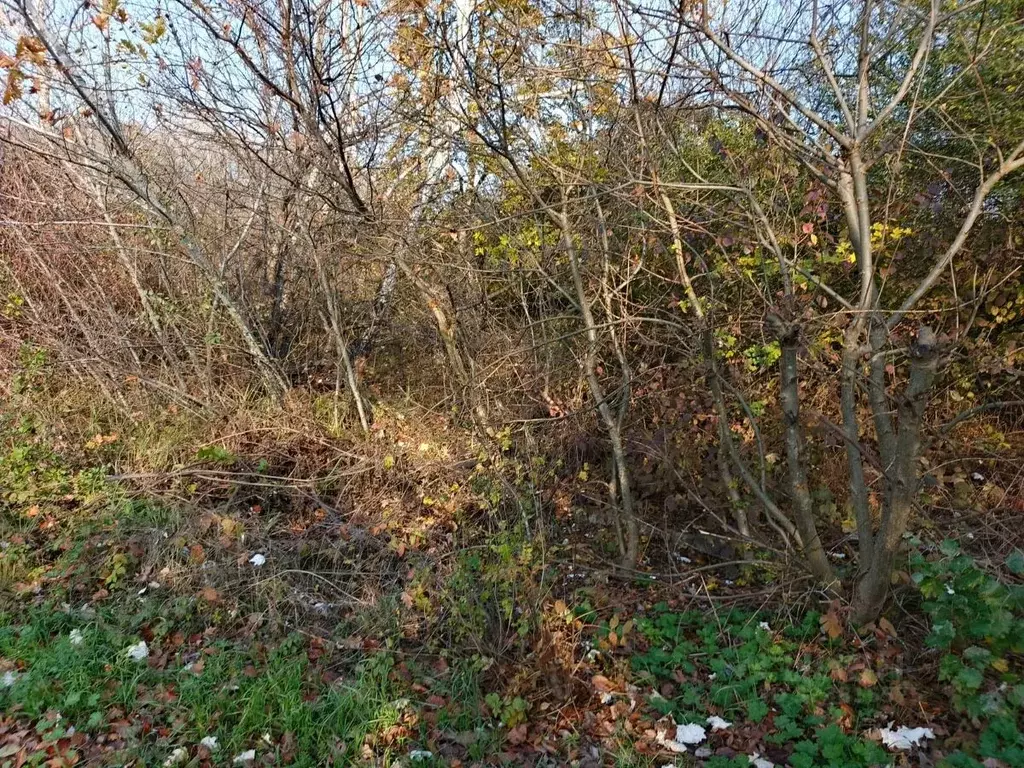 Участок в Краснодарский край, Северское с/пос, Платан СНТ ул. Еловая ... - Фото 0