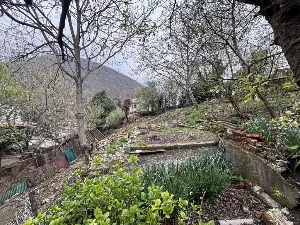 Участок в Краснодарский край, Туапсе Белая ул., 9 (3.8 сот.) - Фото 1