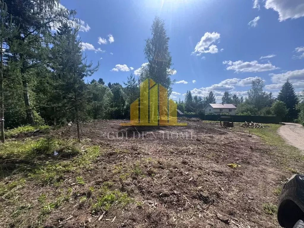 Участок в Ленинградская область, Выборгский район, Рощинское городское ... - Фото 1