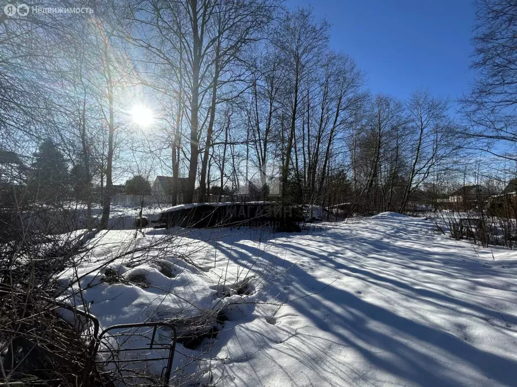 Участок в Ленинградская область, Кировское городское поселение, ... - Фото 1