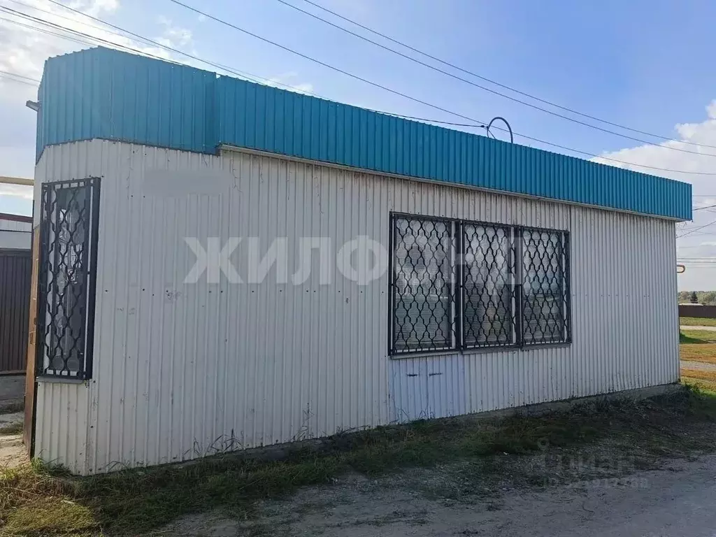 Торговая площадь в Новосибирская область, Коченевский район, с. ... - Фото 2