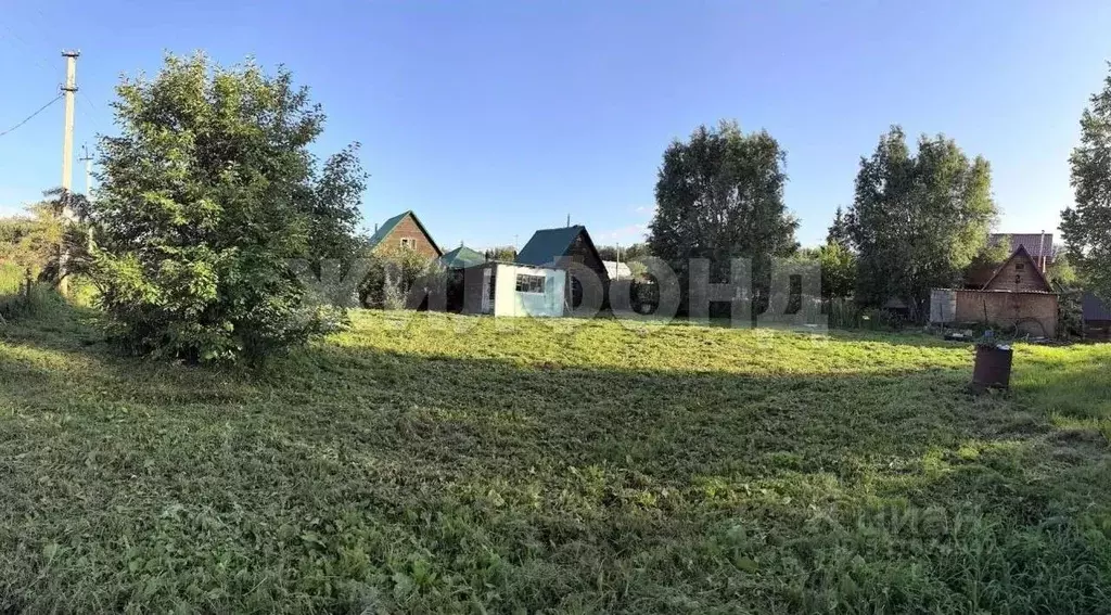 Участок в Ленинградская область, Бокситогорский район, Пикалевское ... - Фото 1