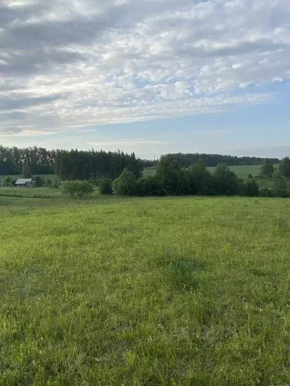 Участок в Тверская область, Удомельский муниципальный округ, д. ... - Фото 2