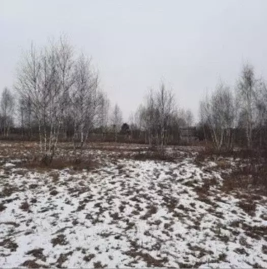 Участок в Московская область, Ступино городской округ, д. Тростники ... - Фото 0