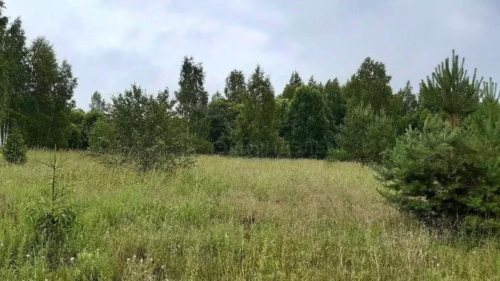 Участок в Новгородская область, Маловишерский район, Бургинское с/пос, ... - Фото 1