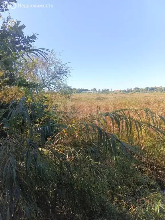 Участок в Калининградская область, Гурьевский муниципальный округ, ... - Фото 1