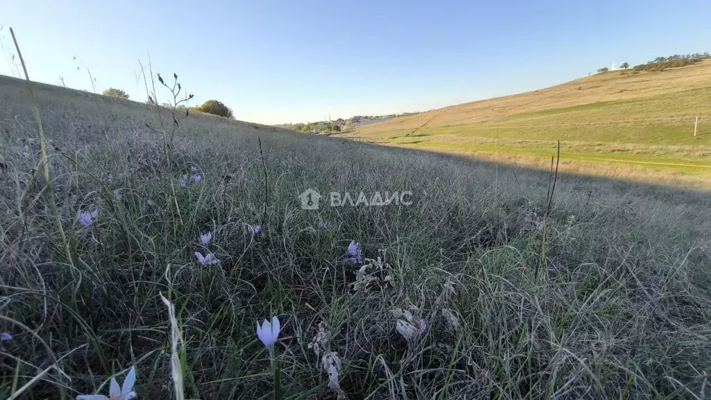 Участок в Крым, Симферопольский район, с. Кольчугино ул. Гаспралы, 46 ... - Фото 2