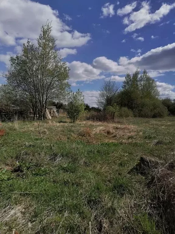 Участок в Владимирская область, Судогодский район, Мошокское ... - Фото 0